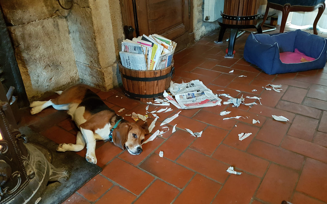 LES DOMMAGES COLATERAUX